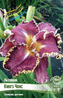 Лилия САННИ ДАБЛ БАУНТИ 16/18 (3 шт)