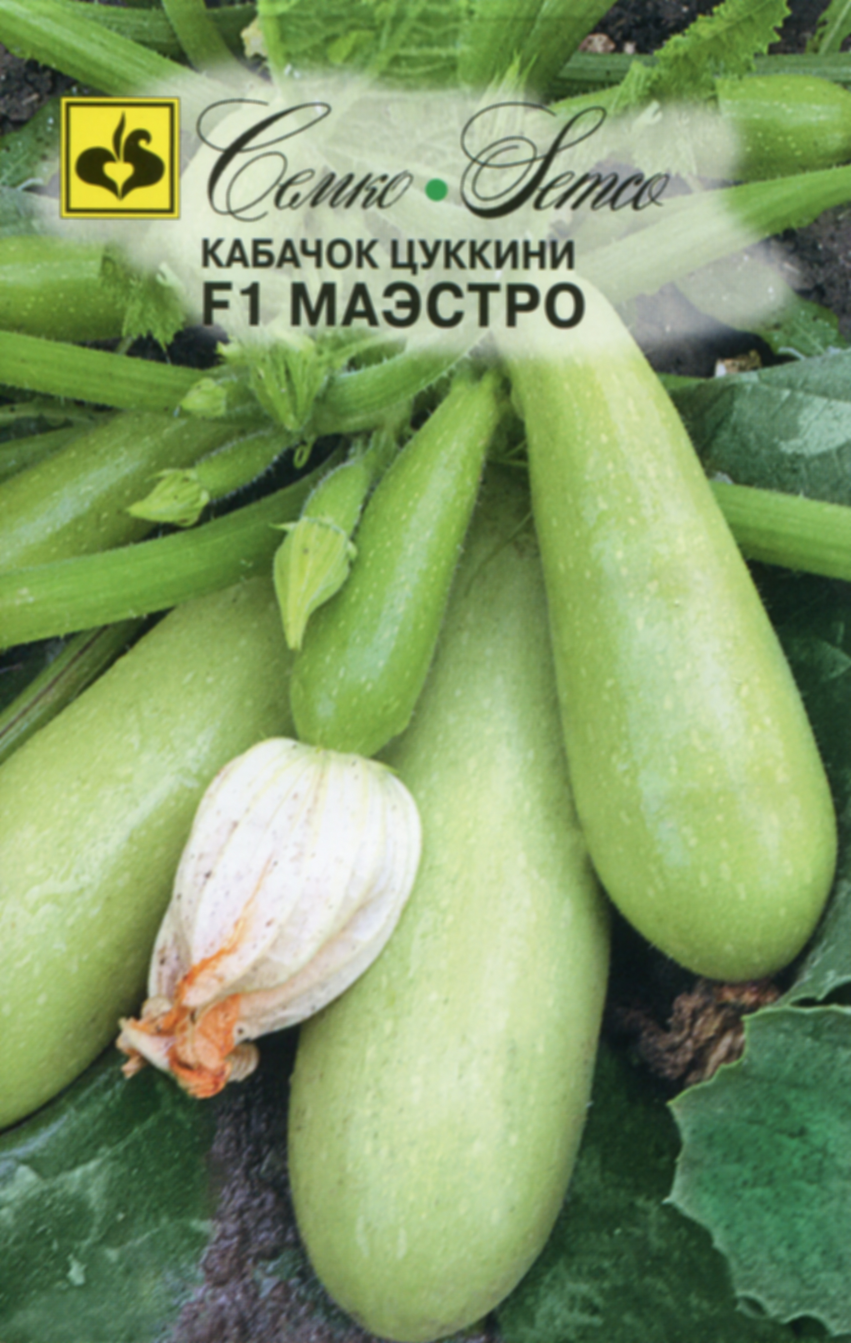 Кабачок Маэстро цукини 10шт