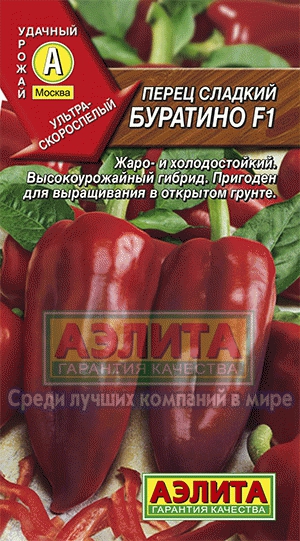 Перец Буратино