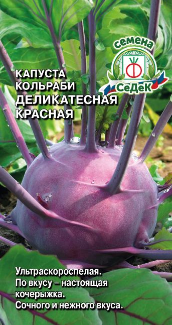 Капуста кольраби Деликатесная красная 1г