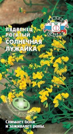 Лядвенец Солнечная лужайка 2г