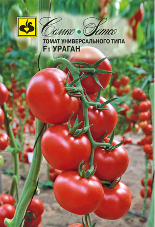 Томат Ураган 10шт