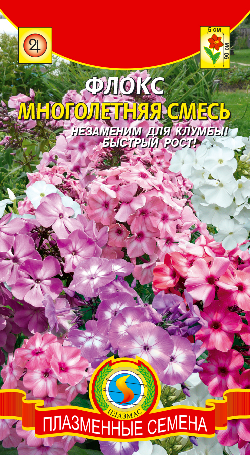 цФлокс Многолетняя смесь 5шт