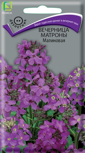 Вечерница Матроны Малиновая 0,3г