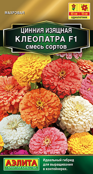 Цинния Клеопатра смесь 12шт