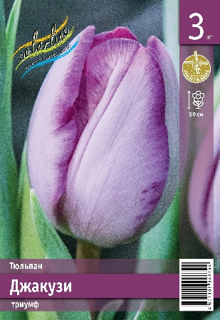 Тюльпан ЭКОНОМ-СЕРИЯ ДЖАКУЗИ (3 шт)