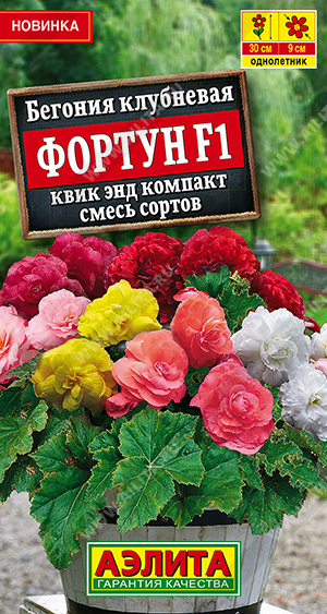 Бегония Фортун квик энд компакт смесь 5шт