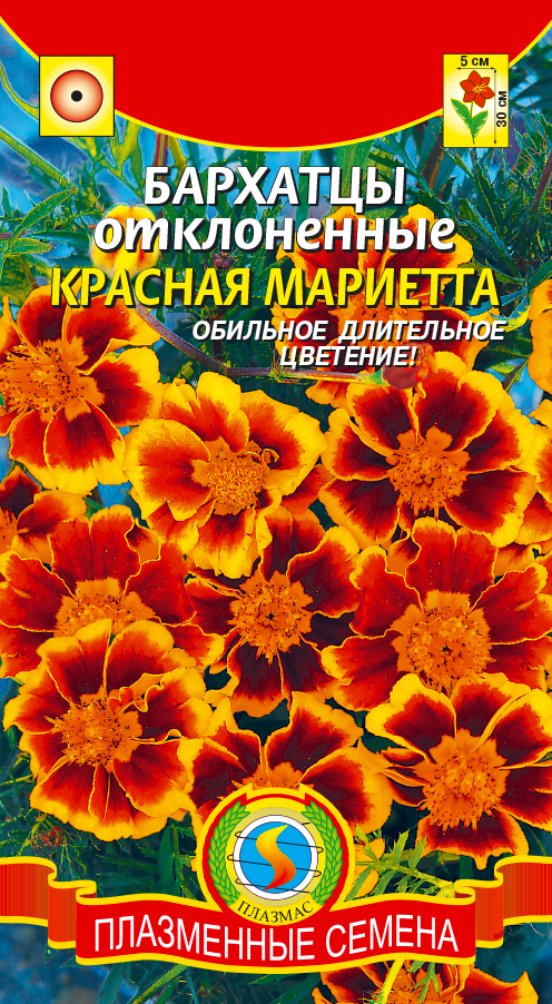 цБархатцы Красная Мариетта