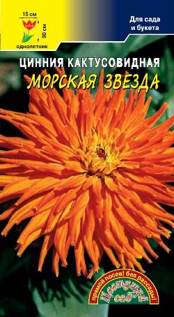 цЦинния Морская звезда