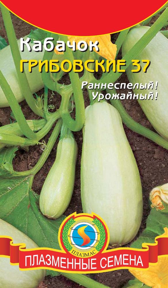 Кабачок Грибовские белоплодный 2г