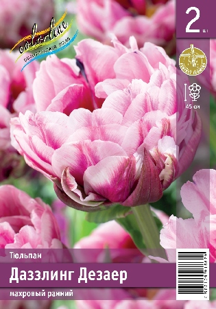 Тюльпан ЭКОНОМ-СЕРИЯ ДАЗЗЛИНГ ДЕЗАЕР (2 шт)