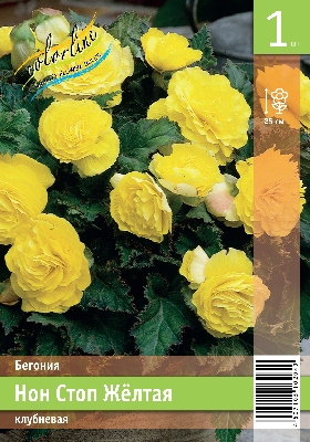 Бегония ЭКОНОМ-СЕРИЯ НОН СТОП ЖЕЛТАЯ (1 шт)
