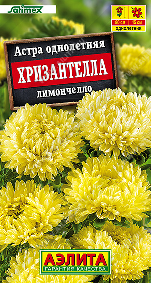 Астра Хризантелла лимончелло 15шт