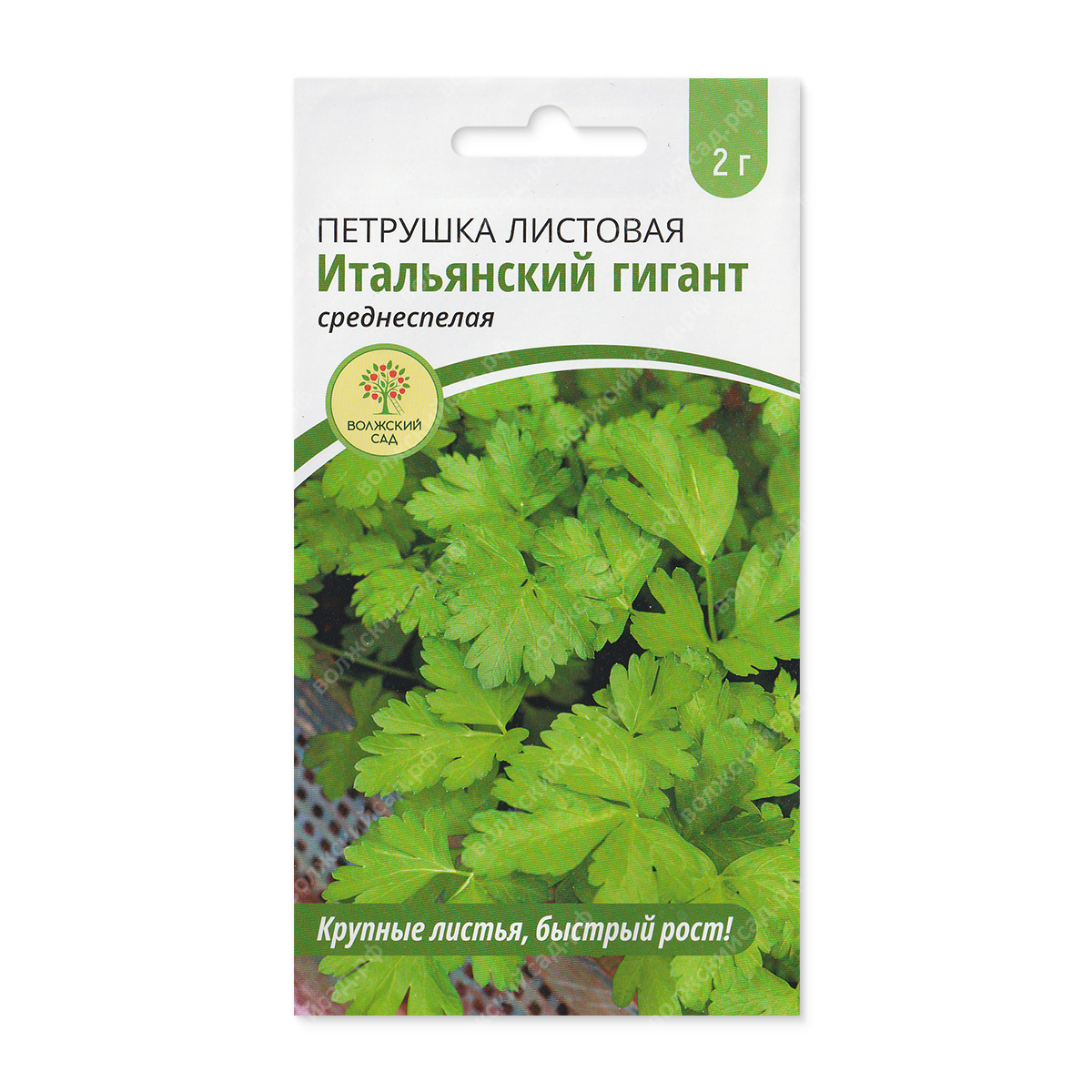 Петрушка листовая Итальянский гигант 2г