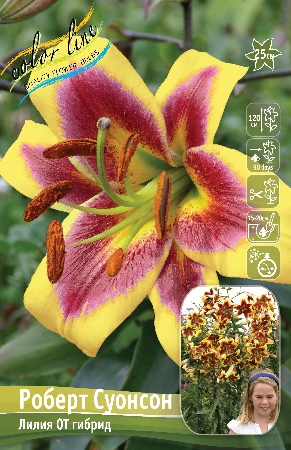 Лилия РОБЕРТ СУОНСОН 16/18 (3 шт)