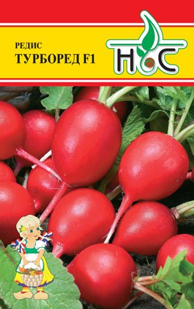 Редис Турборед 3г (Wing Seed Нидерланды)