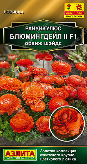 Ранункулюс Блюмингдейл оранж шэйдс  3шт