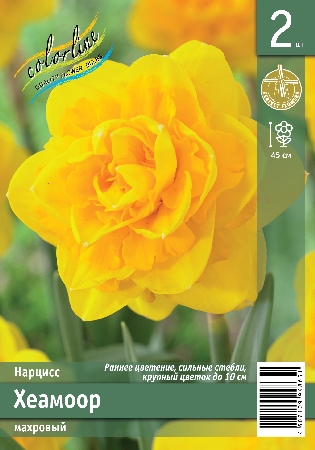 Нарцисс ЭКОНОМ-СЕРИЯ ХЕАМООР (2 шт)