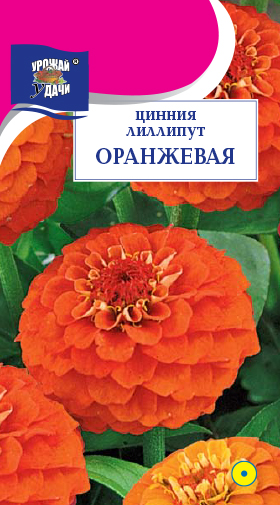 Цинния Лиллипут оранжевая 0,3г