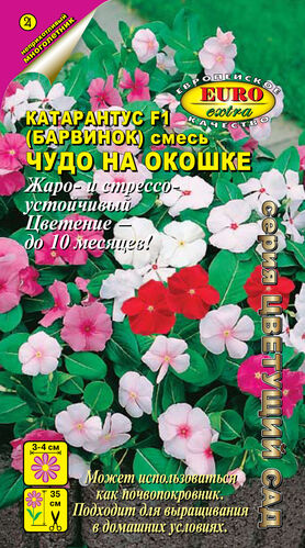 цКатарантус Чудо на окошке 10шт
