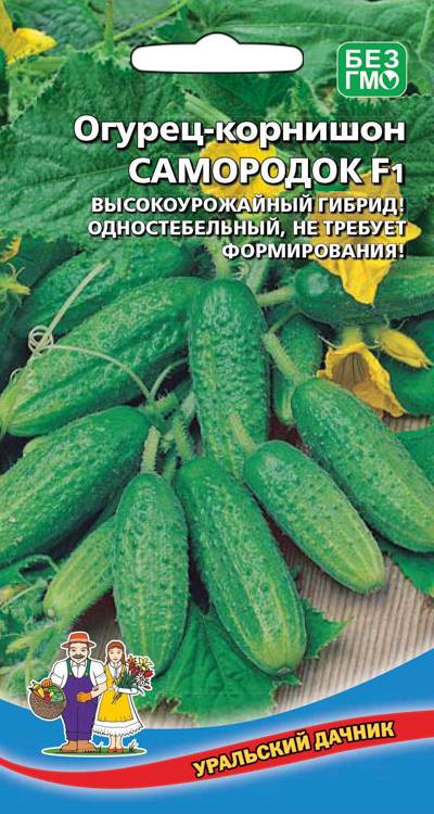 Огурец Самородок 10шт