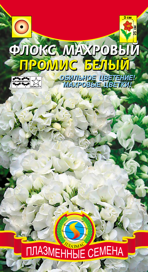 цФлокс Промис Белый 5шт