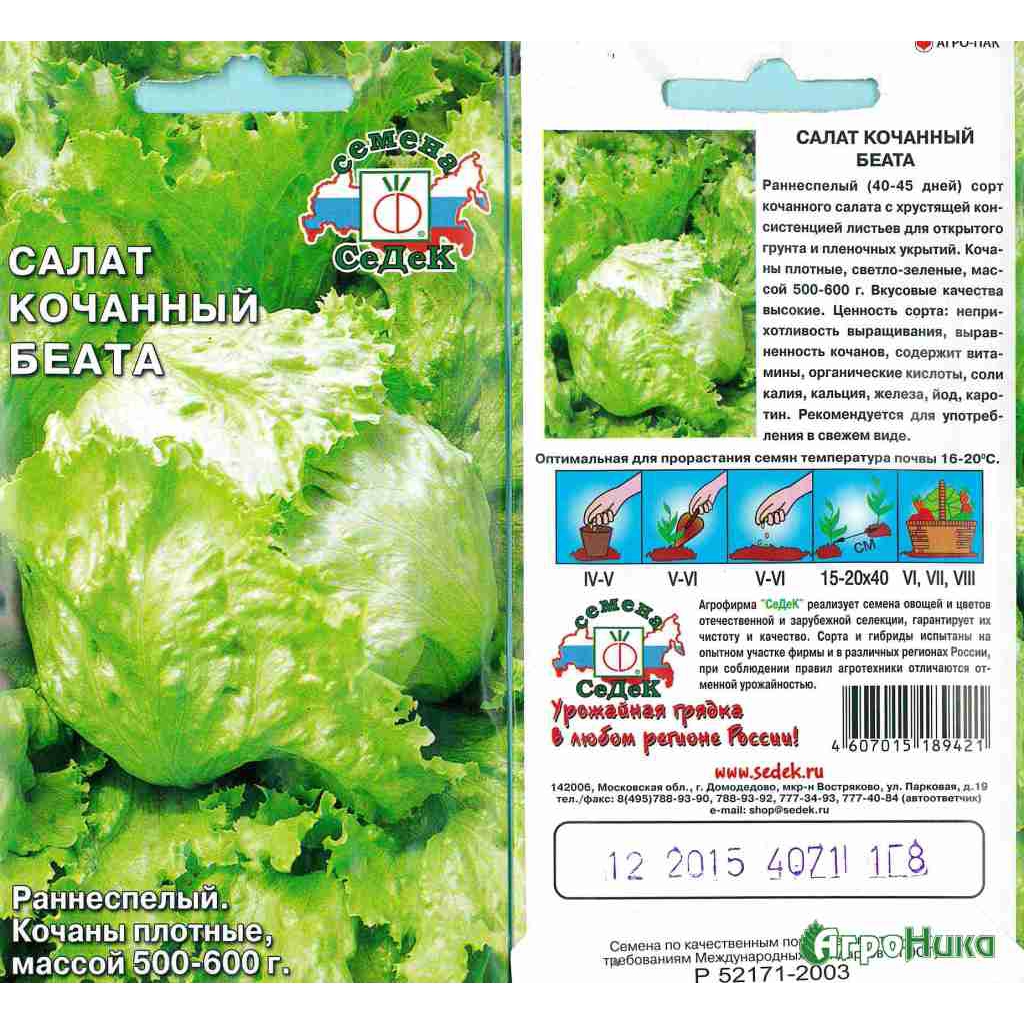 Салат Беата