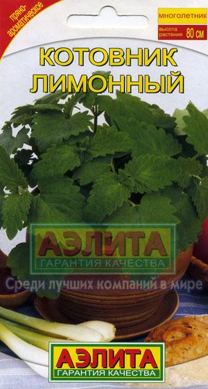 Котовник Лимонный