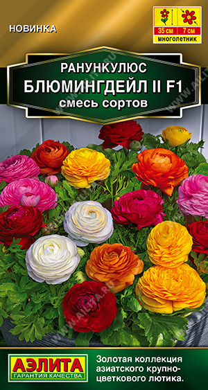 Ранункулюс Блюмингдейл смесь  3шт