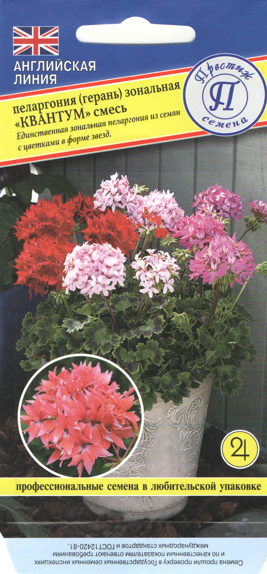 Пеларгония Квантум смесь 3шт (Англия)
