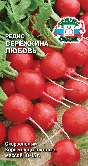 Редис Сережкина любовь 2г