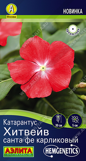Катарантус Хитвейв санта фе карликовый 5шт