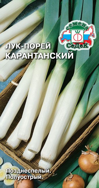 Лук порей Карантанский 1г