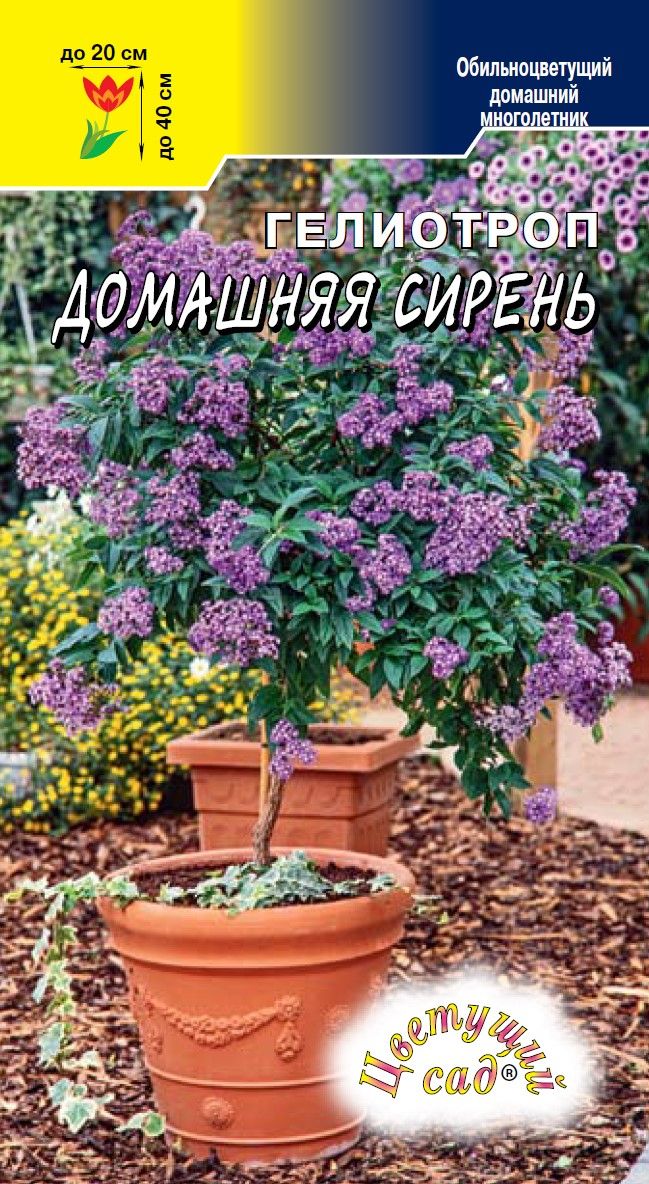 Гелиотроп Домашняя сирень 0,01г