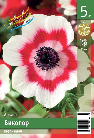 Анемона ЭКОНОМ-СЕРИЯ БИКОЛОР (5 шт)