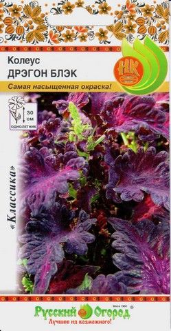 цКолеус Дрэгон Блэк 10шт