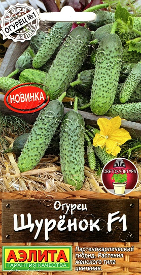 Огурец Щурёнок 10шт