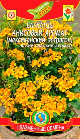 цБархатцы Анисовый аромат