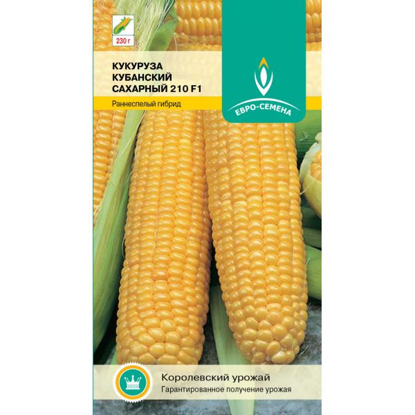 Кукуруза Кубанский сахарный 5г