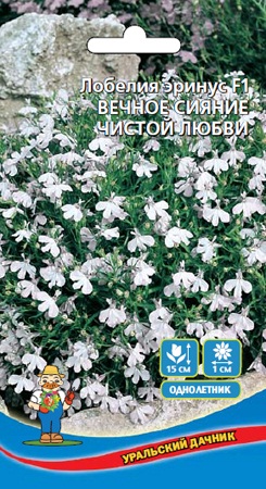 цЛобелия Вечное сияние чистой любви