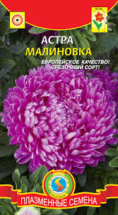 цАстра Малиновка