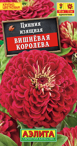 Цинния Вишневая Королева 0,3г