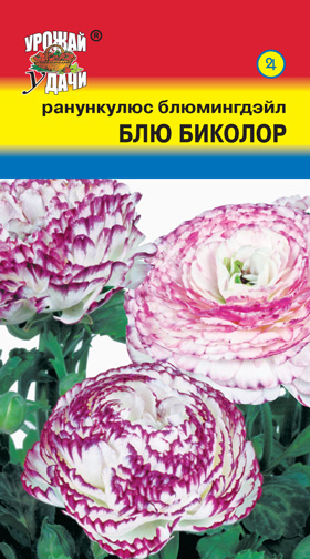 цРанункулюс Блю Биколор Блюмингдэйл 0,01г