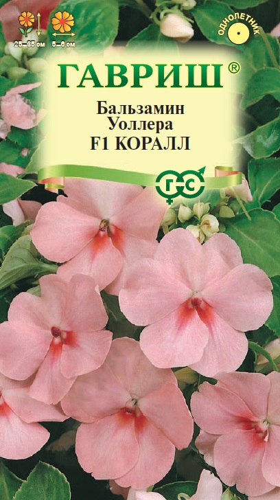 Бальзамин Коралл (Уоллера) 4шт