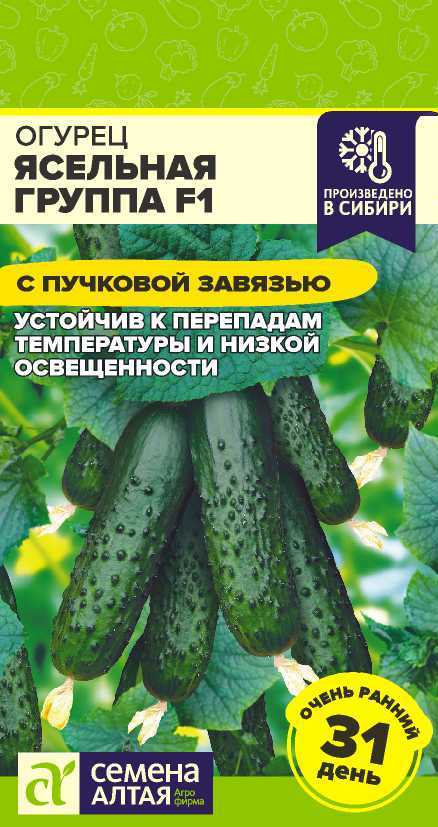 Огурец Ясельная группа 5 шт