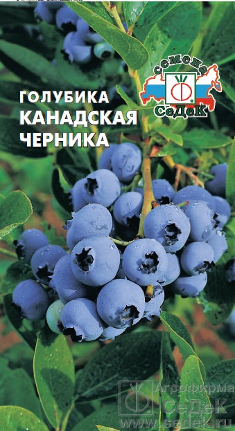 Голубика Канадская Черника 0,05г