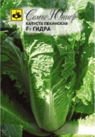 Капуста пекинская Гидра 0,5г