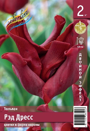 Тюльпан ЭКОНОМ-СЕРИЯ РЭД ДРЕСС (2 шт)
