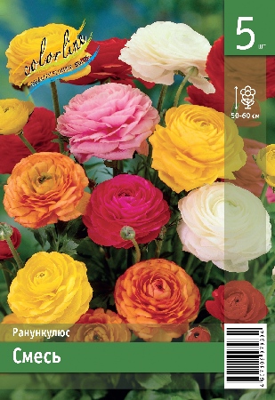 Ранункулюс ЭКОНОМ-СЕРИЯ СМЕСЬ (5 шт)