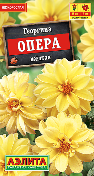 Георгина Опера желтая 7шт